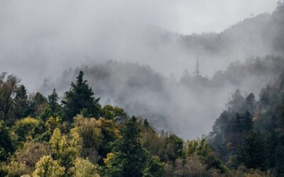 Feux de forêt : surveillance incendie en Gironde étendue grâce à l’intelligence artificielle